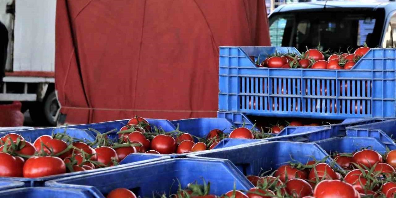Antalya'da domates miktarı azalırken, sebze miktarı arttı