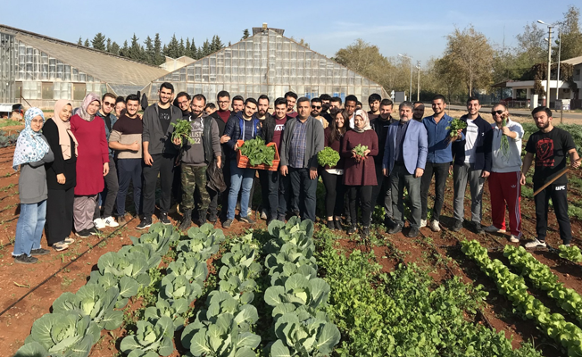 Bahçe Bitkileri Öğrencileri sebzeleri kendileri üretiyorlar
