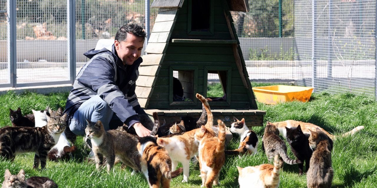 Sokak Hayvanları Geçici Bakımevi ve Rehabilitasyon Merkezi'nde Mutlu Buluşmalar