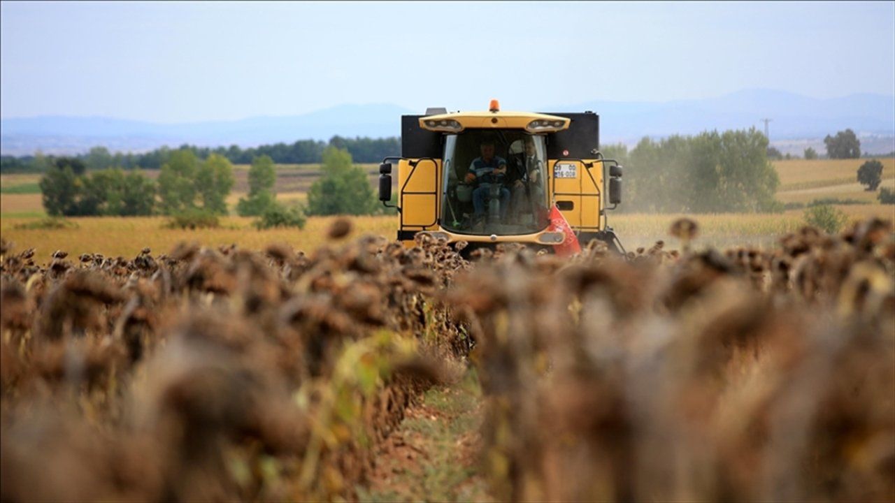 Tarımsal Destek Ödemeleri Çiftçilerin Hesaplarına Aktarıldı