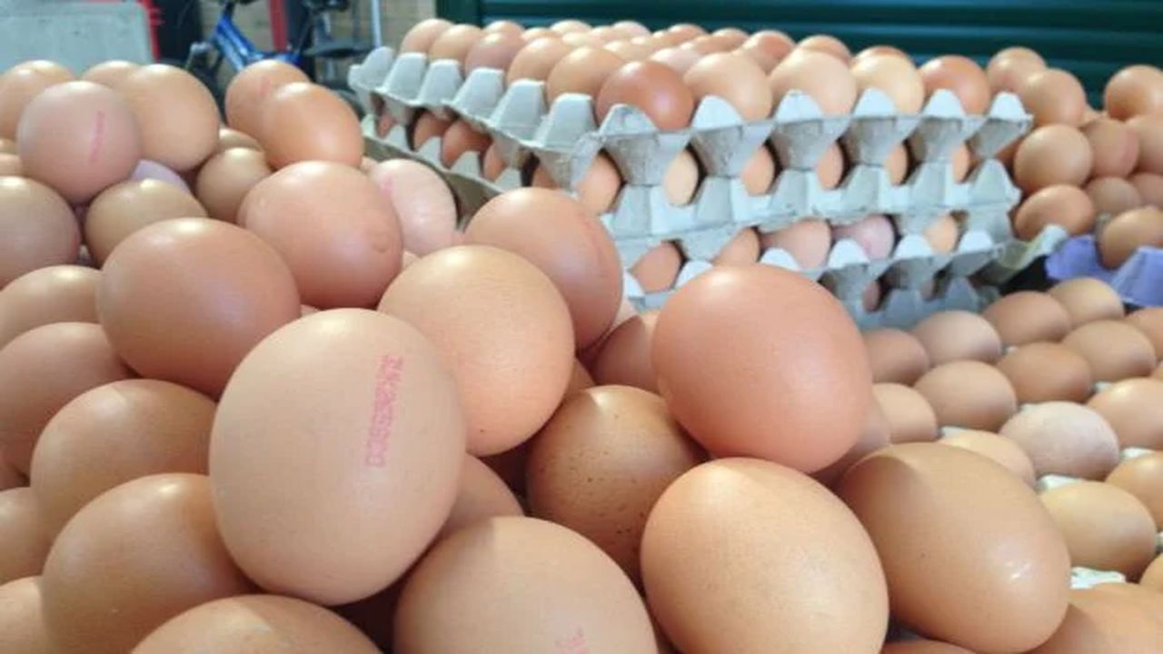 Yumurta Fiyatlarında Dikkat Çekici Azalış: Koliler Yeni Fiyattan Satışa Sunulacak