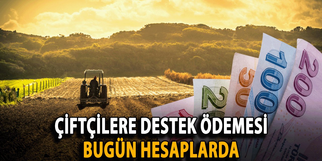 Tarım Bakanı Yumaklı: Çiftçilere Destek Ödemesi bugün hesaplara yatıyor..