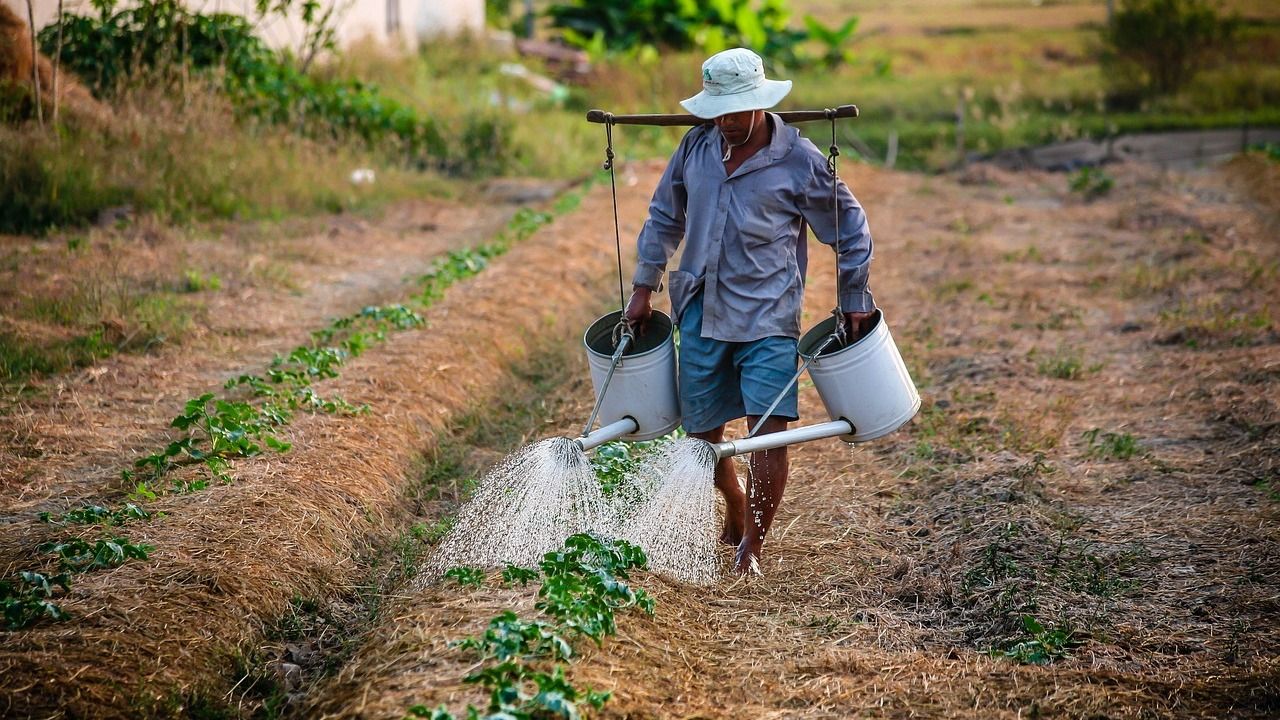 Çiftçilere Mali Destek: 300 Bin TL'ye Kadar %100 Faiz İndirimi!