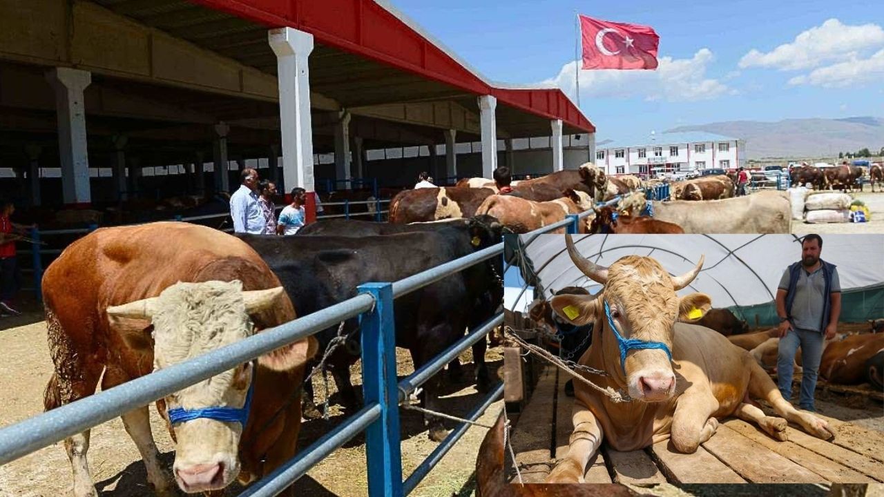 KURBAN pazarında IBANLI önlem alındı