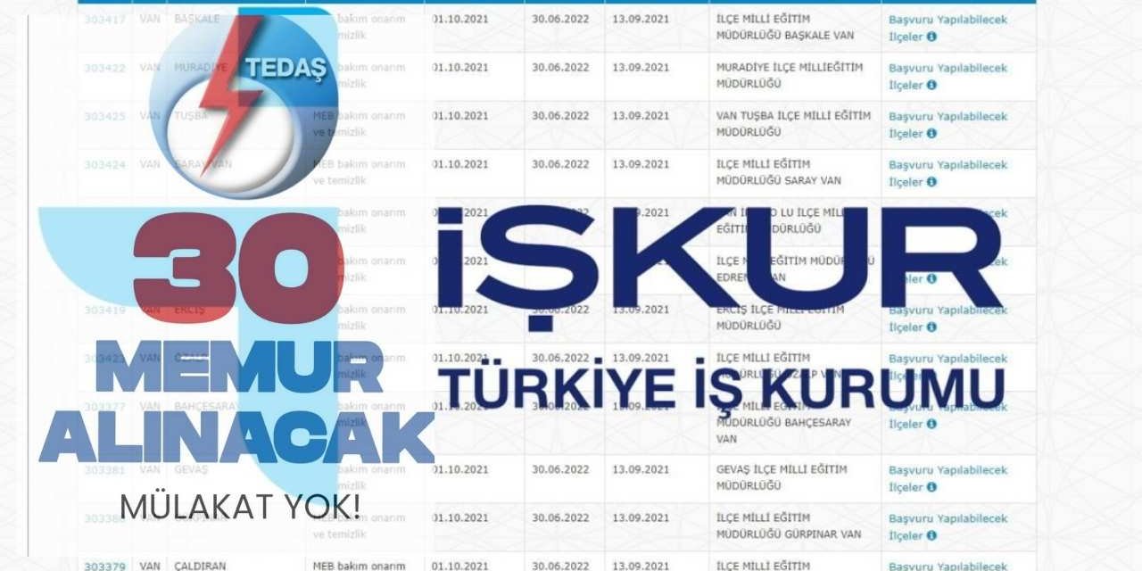 İŞKUR - TEDAŞ yeni iş başı 30 memur alımı olacak