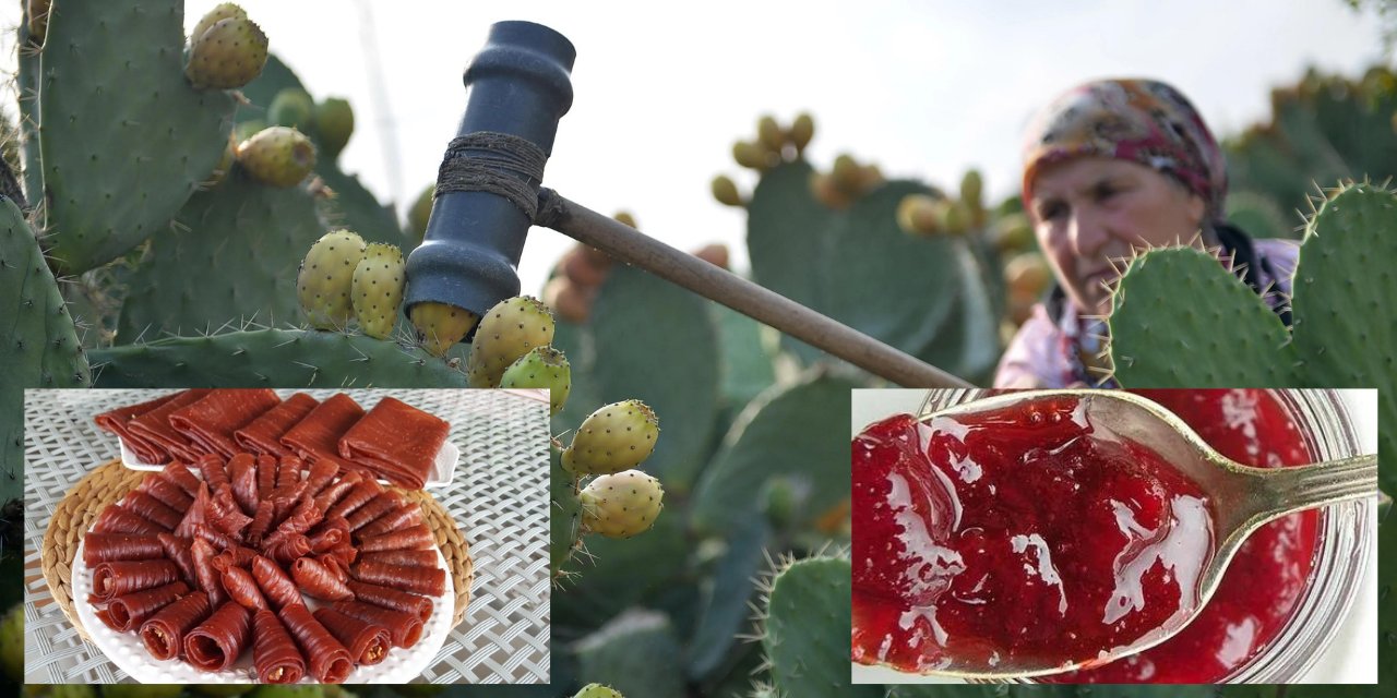 Alanya'da 300 yıl önceden gelen şifa! Reçeli, Marmelatı, Pestili yapılıyor!