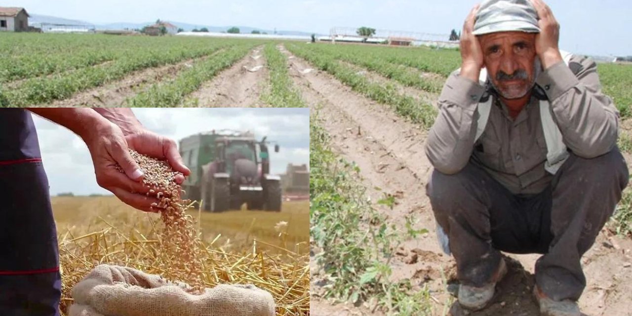 Alanyalı çiftçi hafta sonu kıyameti yaşayacak!