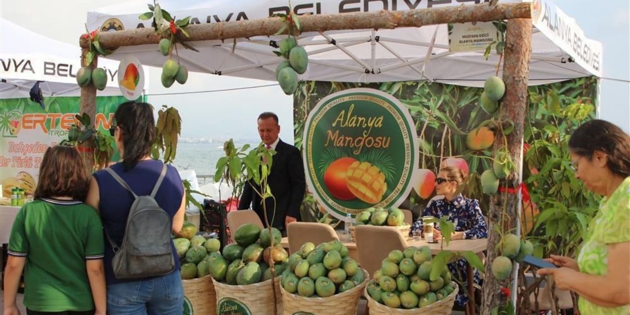 Alanya`da Tropikal Meyve Festivali! Başvurular Başladı!