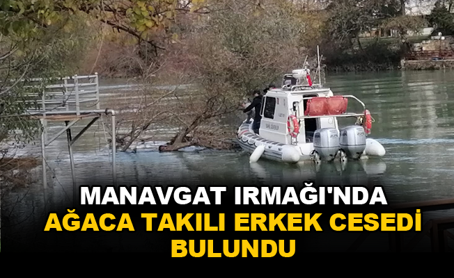 Manavgat Irmağı'nda ağaca takılı erkek cesedi bulundu