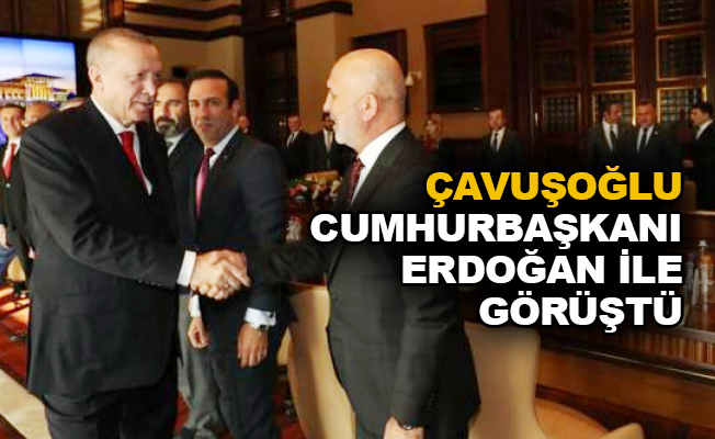 Çavuşoğlu, Cumhurbaşkanı Erdoğan ile görüştü