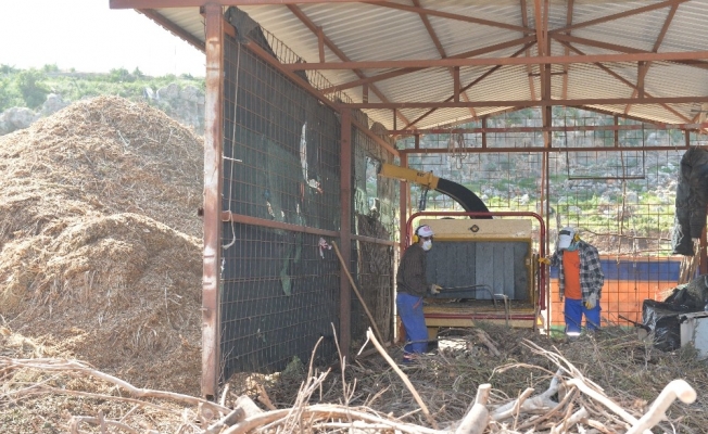 Muratpaşa Belediyesi, dal atıklarını kompost gübreye çeviriyor