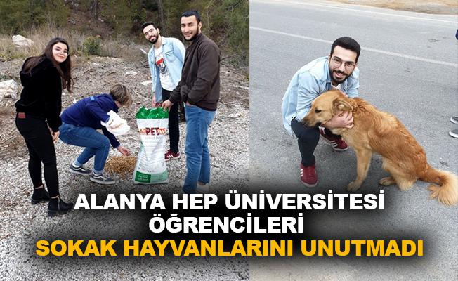 Alanya HEP Üniversitesi öğrencileri sokak hayvanlarını unutmadı