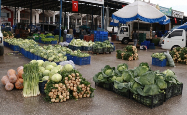 Ürün bolluğu yaşanan Antalya halinden Türkiye'ye sebze meyve sevkiyatı tam gaz devam ediyor