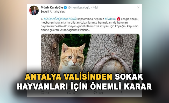 Antalya Valisi'nden evcil ve sokak hayvanları için önemli karar
