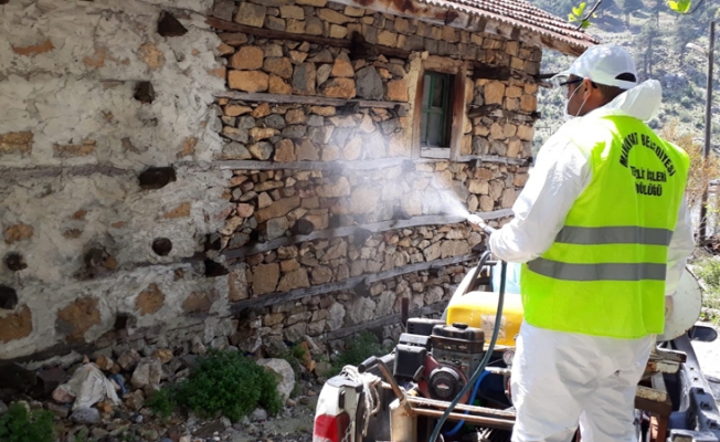 Manavgat'ta korona testi pozitif çıkan yaşlı kadının evi dezenfekte edildi