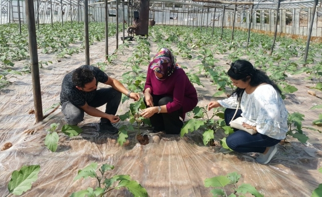 Antalya’da 10 bin 484 çiftçiye biyolojik mücadele eğitimi verildi