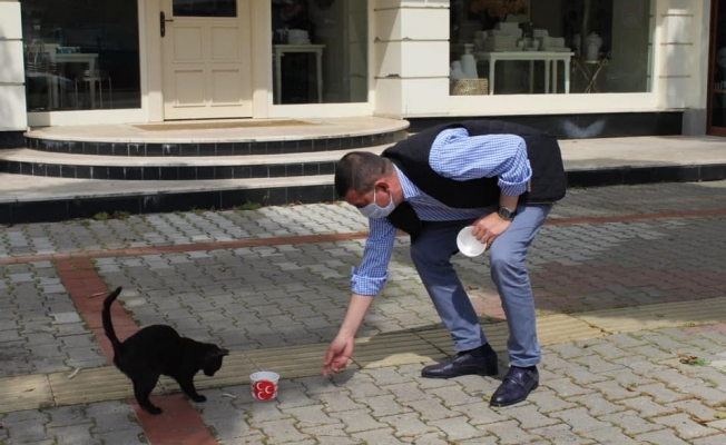 Mustafa Türkdoğan sokak hayvanlarını besledi