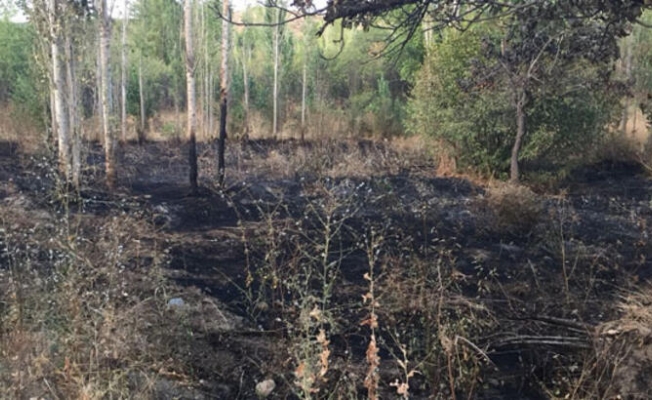 Alanya'da otları yakmak isterken bahçesini yaktı