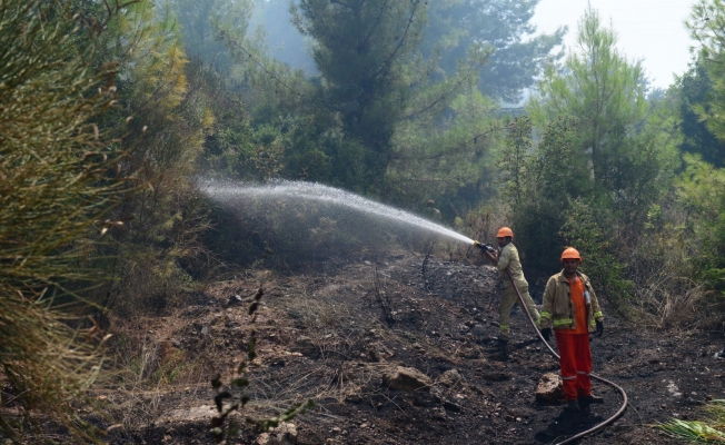 Antalya'da orman yangını, 1 hektar orman zarar gördü