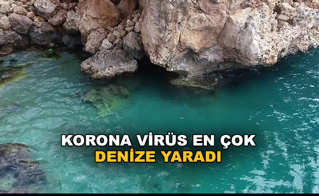 Korona virüs tedbirleri Alanya'nın denizine yaradı
